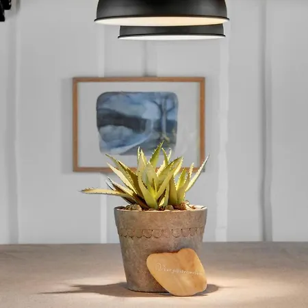 Birkemose X Skovbyballe